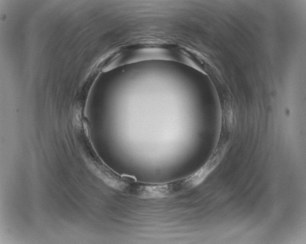 X0000080740188200612151259