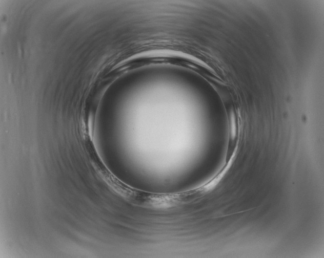 X0000080740190200612151259