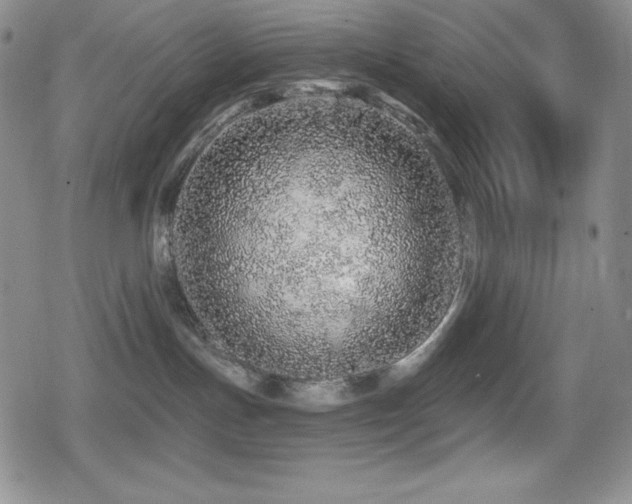 X0000080740191200612151259