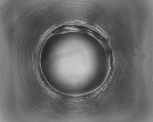 X0000080740193200612151258