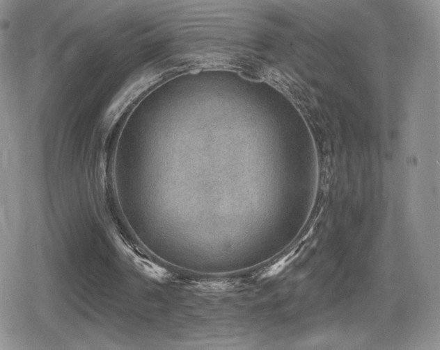 X0000080740194200612151258