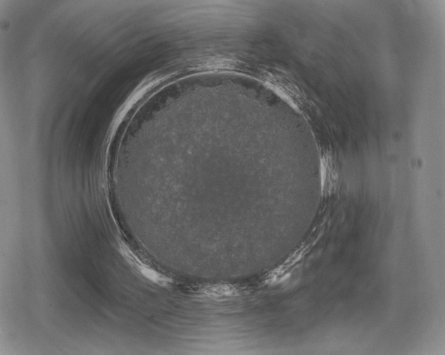 X0000080740195200612151258
