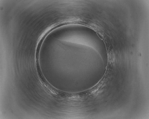 X0000080740196200612151258
