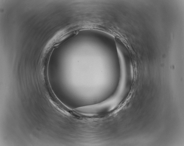 X0000080740197200612151258