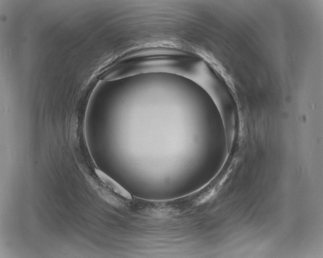 X0000080740201200612151258