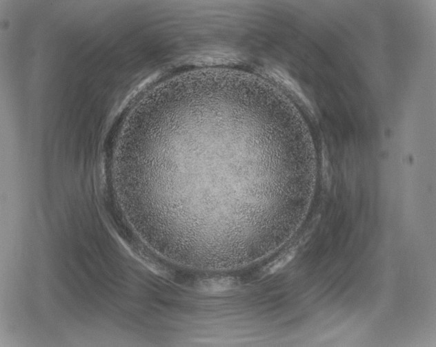 X0000080740202200612151258