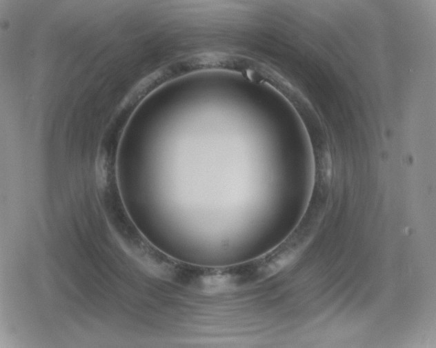 X0000080740216200612151257