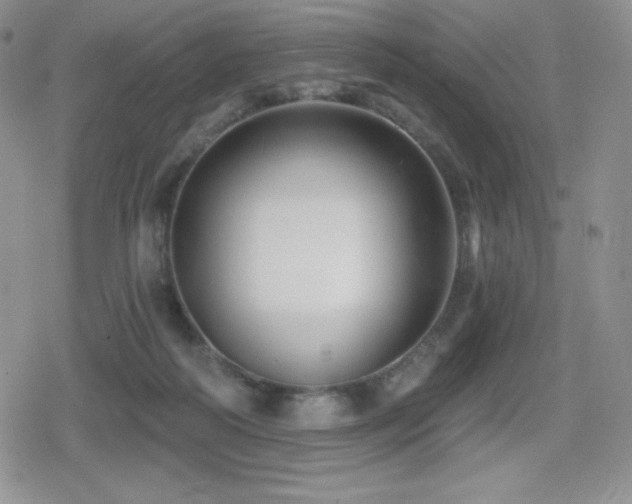 X0000080740218200612151257