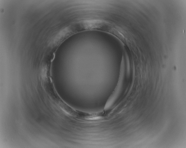 X0000080740219200612151257