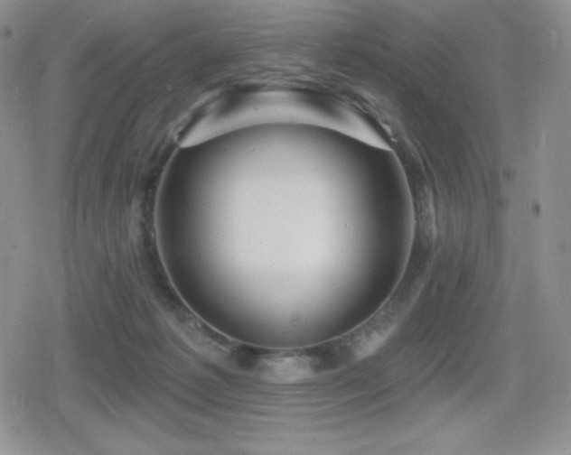 X0000080740221200612151257