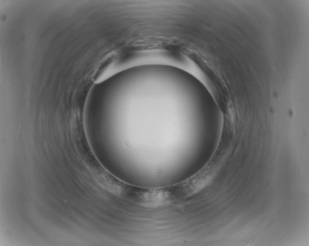 X0000080740225200612151257