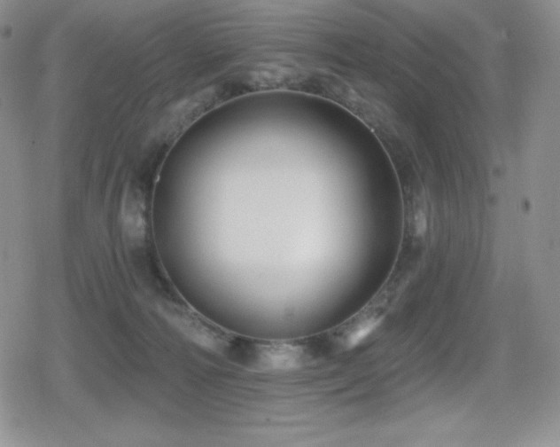 X0000080740226200612151257