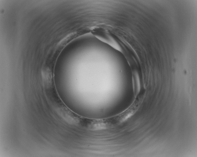 X0000080740228200612151257