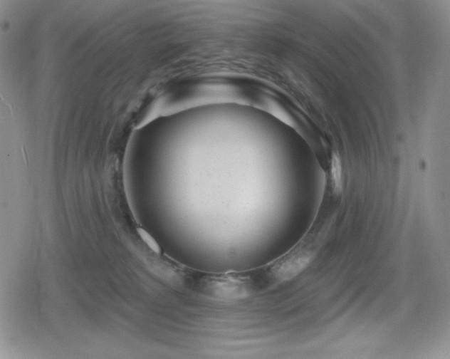 X0000080740229200612151257