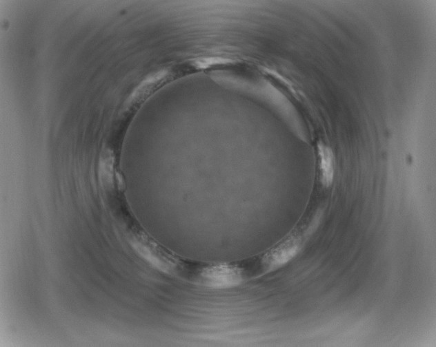 X0000080740231200612151257