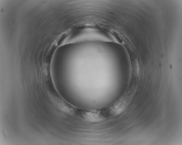 X0000080740232200612151257