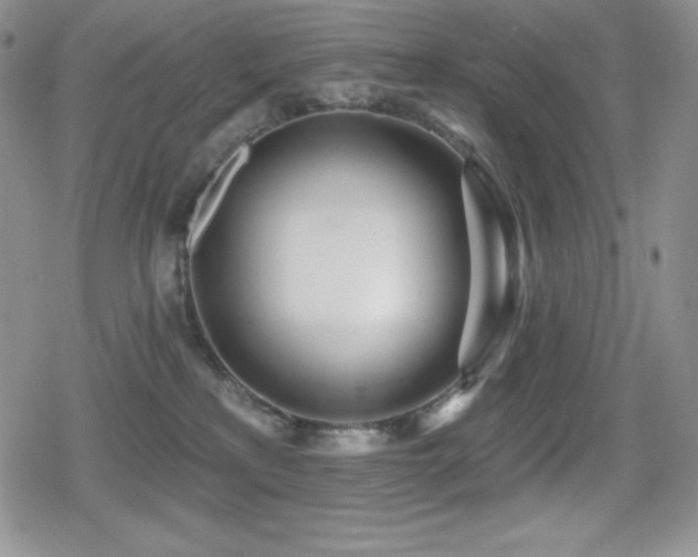 X0000080740233200612151257