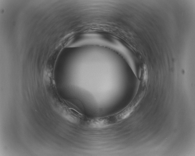 X0000080740235200612151257