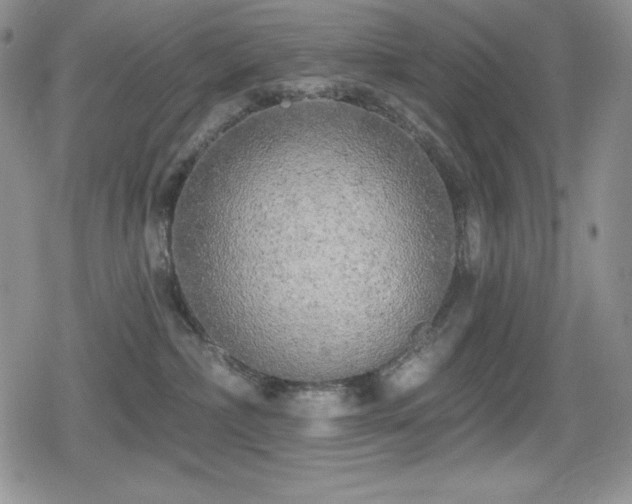X0000080740236200612151257