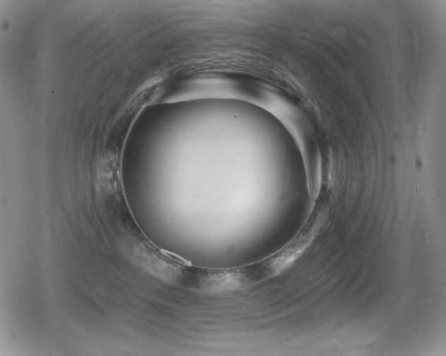 X0000080740237200612151257