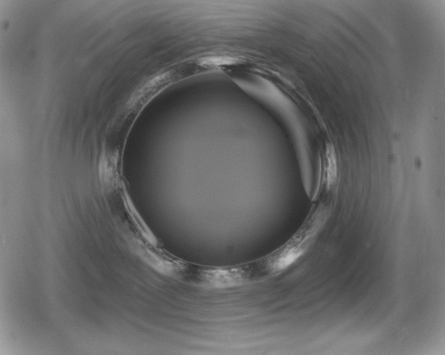 X0000080740239200612151257