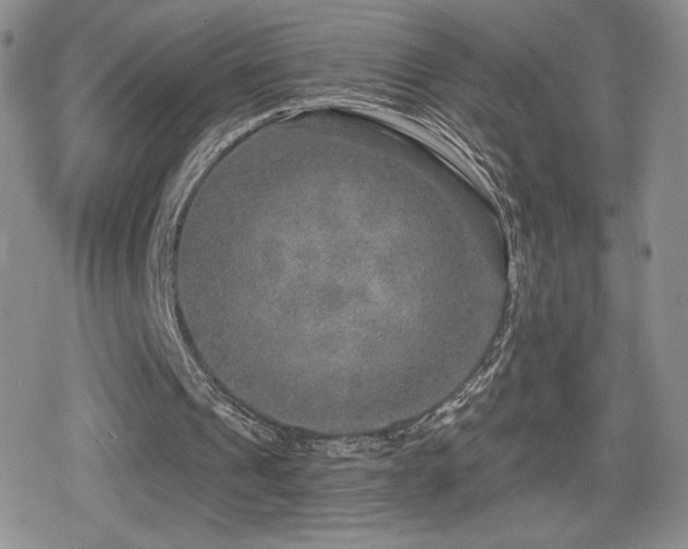 X0000080740241200612151256