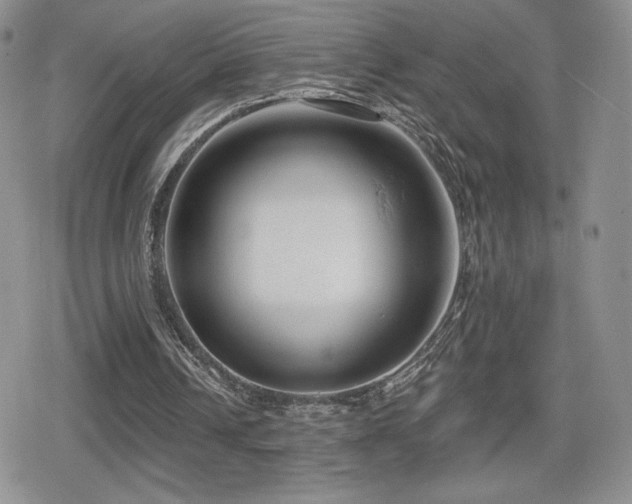 X0000080740242200612151256