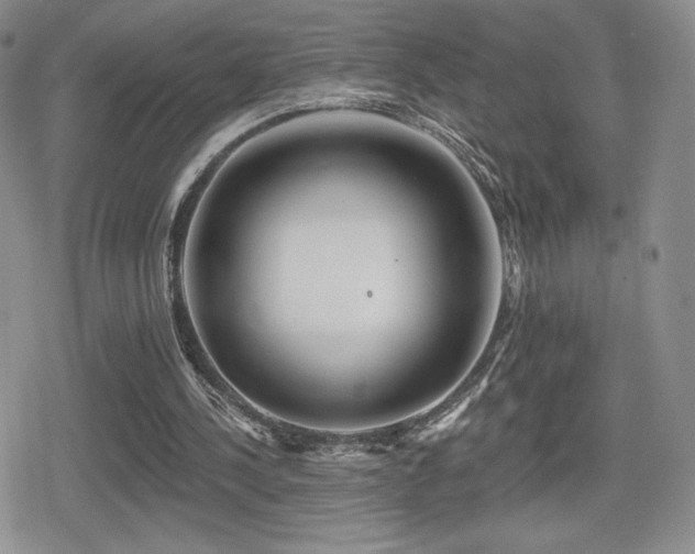 X0000080740244200612151256