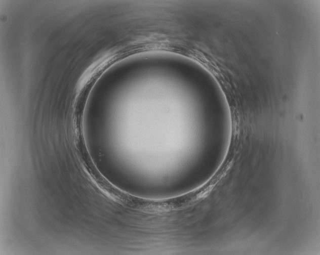X0000080740245200612151256