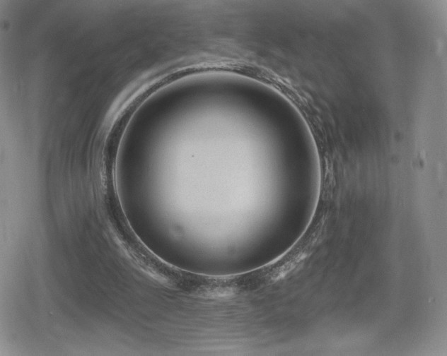 X0000080740247200612151256