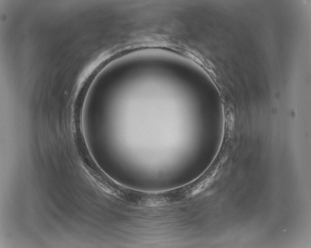 X0000080740248200612151256