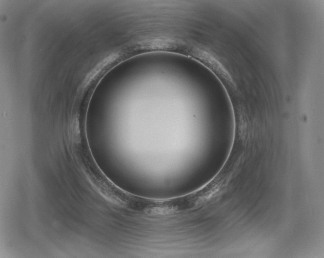 X0000080740251200612151256