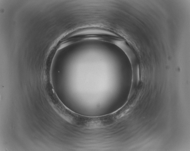 X0000080740252200612151256