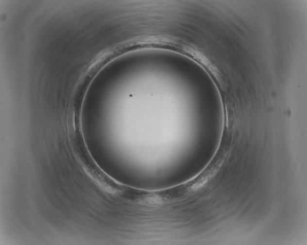 X0000080740253200612151256