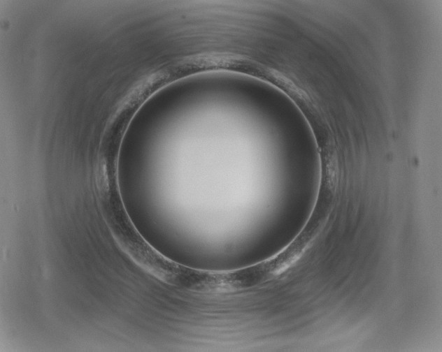 X0000080740254200612151256