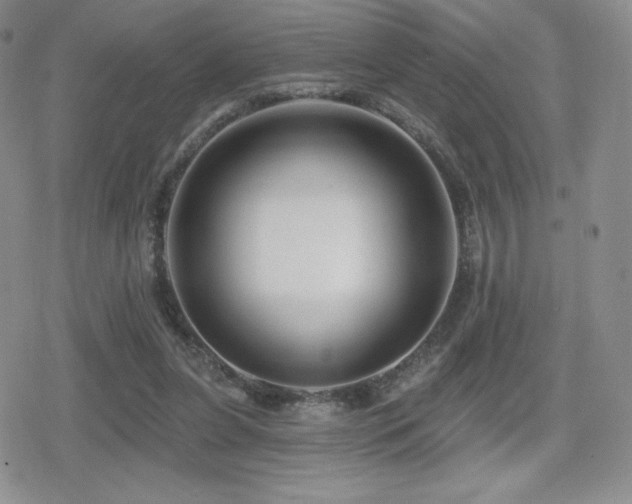 X0000080740255200612151256