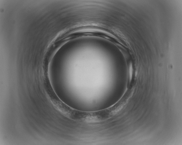 X0000080740256200612151257