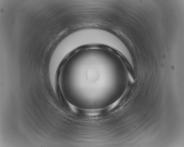 X0000080740260200612151257
