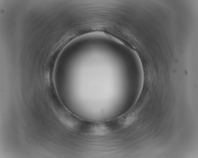 X0000080740262200612151257