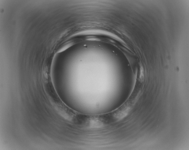 X0000080740264200612151257
