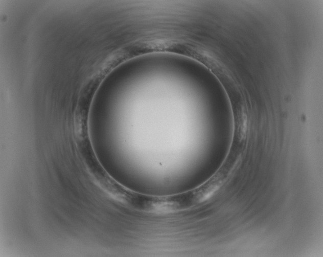 X0000080740268200612151257