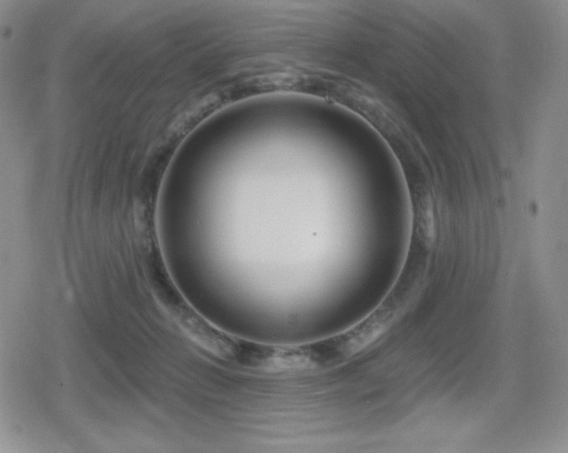 X0000080740270200612151257