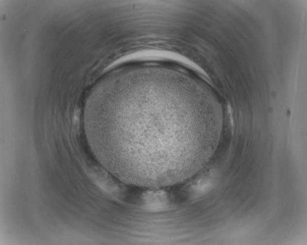 X0000080740271200612151257