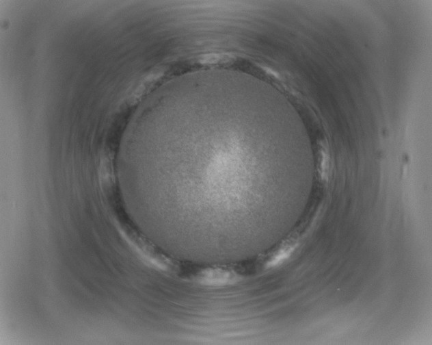 X0000080740272200612151257