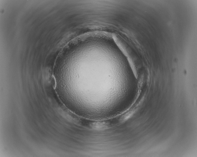 X0000080740273200612151257