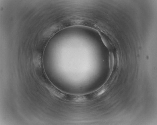 X0000080740274200612151257