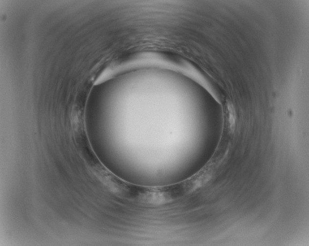 X0000080740276200612151257