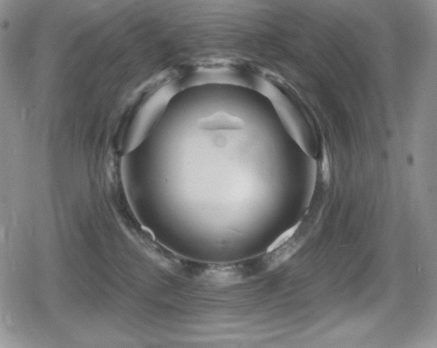 X0000080740280200612151257