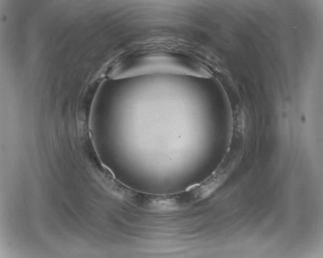 X0000080740283200612151257