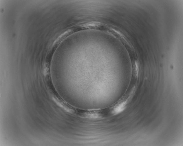 X0000080740284200612151257